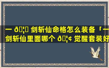 一 🦍 剑斩仙命格怎么装备「一剑斩仙里面哪个 🦢 觉醒套装好」